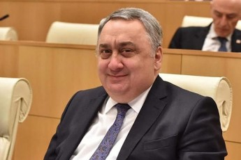 parlamentma-zviad-kvaWantiraZe-diasporis-komitetis-Tavmjdomaris-Tanamdebobidan-ver-gadaayena