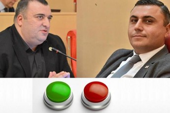 wiTeli-Tu-mwvane---ra-aeriaT-parlamentarebs