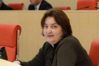 ar-var-valdebuli-vicode-inglisuri---veneciis-komisiis-daskvna-deputatebs-inglisurad-miawodes