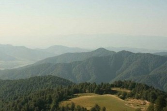 asmaT-xangoSvili-Zalis-gadameteba-visi-mxridanac-ar-unda-iyos-ar-aris-CvenTvis-misaRebi