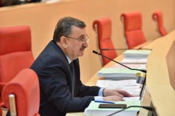 samSabaTis-plenarul-sxdomaze-ganaTlebis-da-kulturis-komiteti-gemriel-paskebs-dagvirigebs