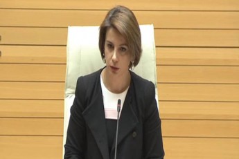 vcade-warmomedgina-meSvide-mowvevis-parlamenti-rogor-ibarebs-vano-merabiSvils-sxdomaTa-darbazSi