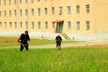 gldanis-sapatimros-msjavrdebulebi-dawesebulebis-teritoriaze-soflis-meurneobis-sferoSi-dasaqmdebian