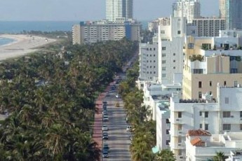 mokled-megobrebo-agixsniT-miSas-SenaZens-floridaSi
