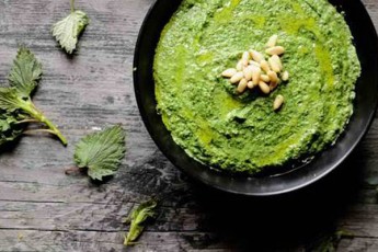 pesto-WinWrisgan---ugemrielesi-mwvane-sousi