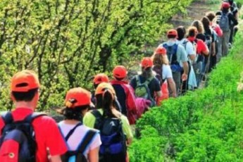 unda-moeTxovos-pasuxi-yvelas-ar-aris-saWiro-tyeSi-siaruli-da-mwvadebis-triali
