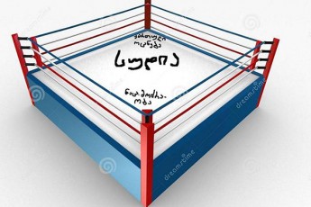 qarTulma-ocnebam-erT-nawils-koabitacia-moargo-meore-nawilis-mimarT-represia-ganaxorcila