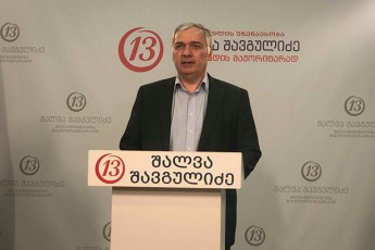 Salva-SavguliZes-xelisufleba-ar-aZlevs-saSualebas-rom-Sualeduri-arCevnebis-meore-turisTvis-saarCevno-agitacia-srulyofilad-Caataros