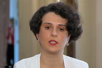 am-saqmeze-ratom-saubrobs-magaliTad-Salva-SavguliZe-romelic-komisiis-wevric-ki-ar-yofila-da-naklebad-savaraudoa-saqmis-detalebze-informacia-hqondes