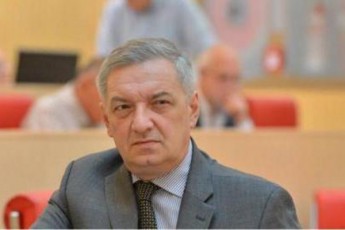 gia-volski-pasuxismgebloba-ekisrebaT-provokatorebs