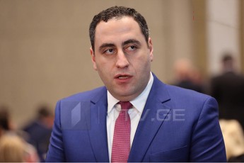 giorgi-vaSaZe-samarcxvinoa-viTom-eqspertebis-gancxadebebi-rom-politikosebma-Seatoves-policia-da-axalgazrdebi