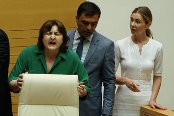 parlamentis-foieSi-ada-marSaniasa-da-Tina-bokuCavas-Soris-Selaparakeba-moxda