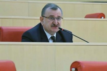 roman-gociriZe---nika-melias-Tavidan-Tmac-ver-Camovardeba