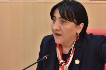 irma-inaSvili--veubnebi-da-vafrTxileb-bokeria-saakaSvilis-partaqtivs-nu-gviwvevT