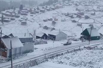 beSumSi-Tovlis-safaris-simaRle-4-santimetrs-aRwevs
