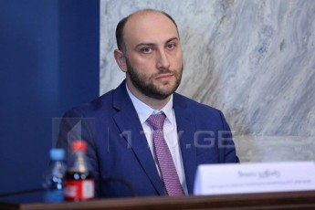 SoTa-gewaZe-biZina-ivaniSvilisTvis-moqalaqeobis-CamorTmeva-maSindel-konstituciasTan-Sesabamisi-iyo-dRes-rom-moqmedebdes-igive-kanonmdebloba-miviRebdi-imave-gadawyvetilebas