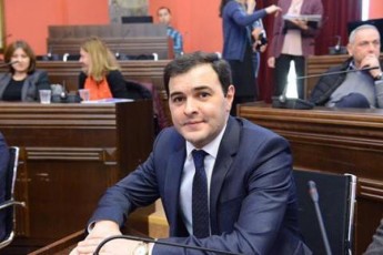 datovebs-Tu-ara-mandats-vano-zardiaSvili