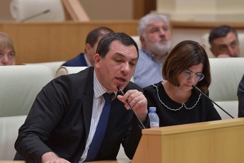 evropulma-saqarTvelom-zalkaliani-komitetis-sxdomaze-daibara