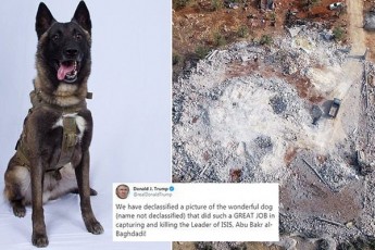 donald-trampi-abu-baqr-al-baRdadis-likvidaciis-operaciaSi-monawile-ZaRlis-fotos-aqveynebs