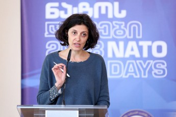 rozaria-puglisi-afxazeTisa-da-ew-samxreT-oseTis-gareSe-natoSi-saqarTvelos-miRebis-sakiTxi-ar-ganixileba
