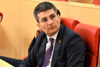 mamuka-mdinaraZe-nacionalur-moZraobas-aqvs-erTaderTi-berketi-tyuili