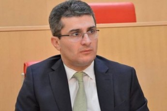 mamuka-mdinaraZe-gadaWriT-SegviZlia-vTqvaT-rom-maJoritarebTan-SeTanxmeba-Sedgeba