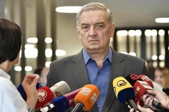 gia-volski-SurisZieba-da-wameba-axasiaTebs-im-reJims-romelTa-interesebsac-atarebda-nika-melia