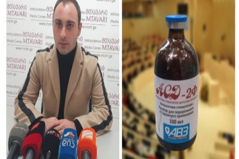 mkvleli-nivTereba-romelic-sikvdilamde-gamomuSavdeba--ra-daasxes-parlamentSi--eqsperti-mediacentr-mTavarSi