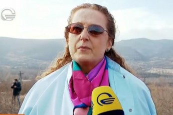 vaJa-gafrindaSvilis-meuRle-me-arasdros-miTqvams-rom-saxelmwifo-organoebi-arafers-akeTeben-msgavsi-sityvebi-arasdros-warmomiTqvams-piriqiT