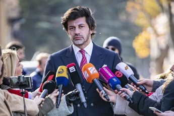 kaxa-kalaZe-axali-partiebis-Seqmnas-mivesalmebi---erTi-da-igive-saxeebs-siborotis-da-cudis-meti-araferi-gaukeTebiaT
