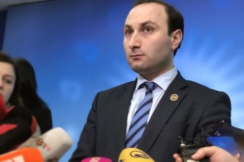 anri-oxanaSvili-opoziciuri-jgufebi-winasaarCevno-kampanias-sazRvargareT-atareben-iqneba-es-strasburgi-Tu-vaSingtoni-isini-cdiloben-partniorebi-SecdomaSi-Seiyvanon