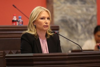 naTia-Turnavas-gancxadebiT-Sefasebebi-biZina-ivaniSvilis-mier-qveynis-Crdilovan-mmarTvelobasTan-dakavSirebiT-samarcxvino-da-usamarTloa
