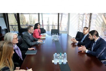 politikuri-gaerTianeba-qarTuli-ocneba---demokratiuli-saqarTvelos-Tavmjdomare-biZina-ivaniSvili-derek-mitCels-Sexvda
