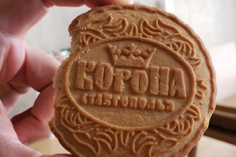 karantinSi-myof-moqalaqeebs-orcxobila-korona-dauriges