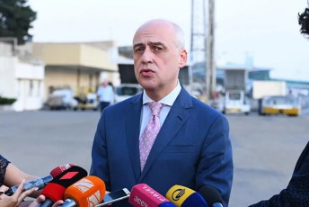daviT-zalkaliani-saqarTvelo-iyo-pirveli-qveyana-vinc-4-000-moqalaqe-organizebulad-gamoiyvana-sxvadasxva-qveynidan---saqarTvelos-moqalaqeebi-etapobrivad-dabrundebian-samSobloSi
