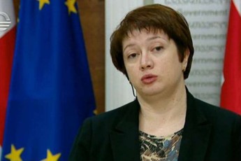 maia-cqitiSvili-vawesebT-damatebiT-SezRudvas-ekonomikur-saqmianobaze