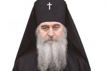 meufe-danieli-saziarebel-kovzs-adamiani-ubralod-rom-Seexos-aucileblad-ganikurneba