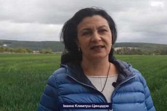 ukrainis-yofili-vice---premieri--miTia-is-rom-saakaSvili-putinis-mteria-vinaidan-saakaSvili-profesiuli-destabilizatoria-da-TviT-putinic-ver-moifiqrebda-ukeTess-ukrainis-dasasusteblad