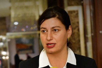 sofio-qacarava-Cven-movaxerxeT-gaerTianebuli-samefodan-SeerTebuli-Statebidan-da-sxva-megobari-saxelmwifoebdan-saukeTeso-praqtikis-Cveneuli-versiebis-danergva