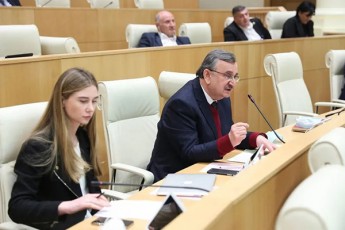 fraqcia-nacionaluri-moZraoba-sakonstitucio-cvlilebebis-kenWisyraSi-monawileobas-ar-miiRebs