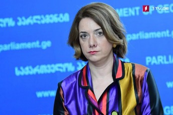 salome-samadaSvili-kongresmenebis-angariSi-ar-gadaixedeba-magram-kidev-erTxel-daziandeba-Cveni-qveynis-imiji