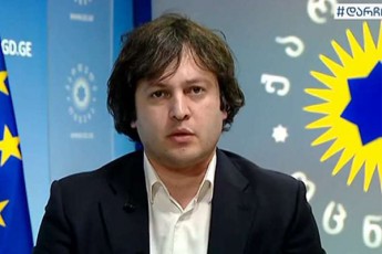 qarTuli-ocneba-maJoritari-deputatobis-kandidatebs-ivlisSi-waradgens