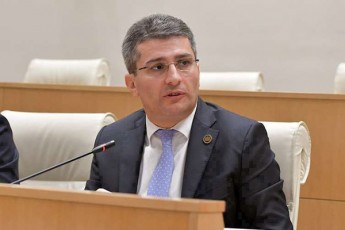 mamuka-mdinaraZe-germaniis-elCze-gakeTebuli-gancxadebebiT-opoziciam-Tavi-daiziana