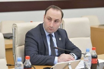 anri-oxanaSvili-roman-gociriZes-cudi-gamocdileba-gqoniaT-xan-plenarul-sxdomaze-ar-giSveben-xan-saarCevno-ubanSi