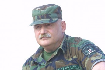 daviT-TevzaZe-rac-yvelaze-naTlad-maxsovs-Cemi-sisxlia