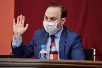 anri-oxanaSvili-qarTuli-ocnebis-gundma-SeZlo-is-rac-manamde-ver-SeZlo-verc-erTma-politikurma-jgufma
