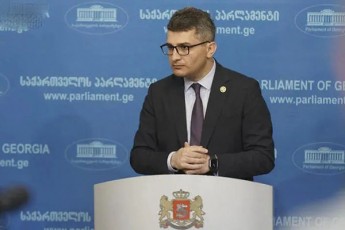 mamuka-mdinaraZe-didi-albaTobiT-maJoritarobis-kandidati-ar-viqnebi