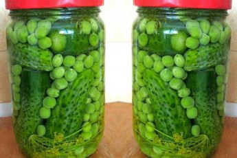 kitrisa-da-bardis-mwnili---olivies-2-ingredienti-1-qilaSi