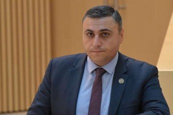 daviT-maTikaSvili-biZina-ivaniSvili-saarCevno-procesebSi-ukve-CarTulia