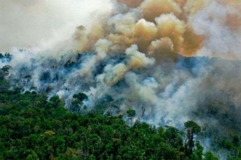 BBC-amazonis-junglebSi-londonze-8-jer-didi-teritoria-iwvis